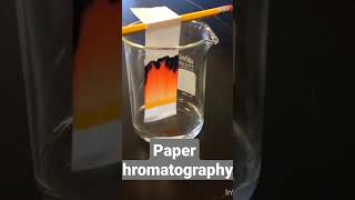 Paper Chromatography ❗ [upl. by Assilaj218]