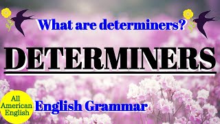 DETERMINERS  What are DETERMINERS  English Grammar  Intermediate  All American English [upl. by Dnomder310]