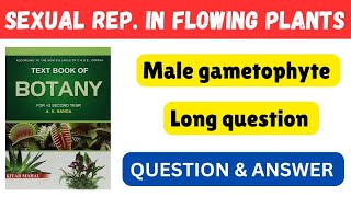 Development of male gametophyte Long questions ll Question answer ll Botany Long question l 2 chse [upl. by Enileuqaj377]