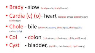 Medical terms 2 Prefixes part 1 [upl. by Pavkovic]