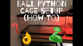 Ball Python Cage Setup 40 Gallon How I Setup my Tanks [upl. by Bette]