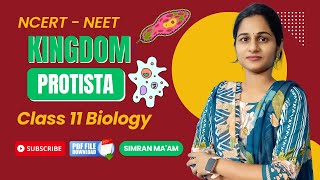 Kingdom Protista  Biological Classification  Class 11NCERT NEET  SIMRAN MAAM [upl. by Barnabas]