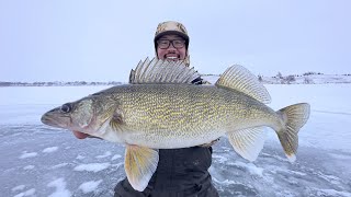 FIRST ICE Walleye Fishing THIN ICE [upl. by Rimaa]