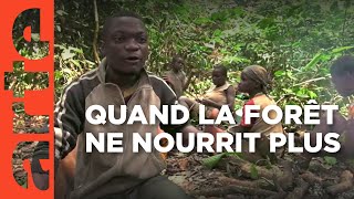 Cameroun  la terreur verte  ARTE Reportage [upl. by Garrison537]