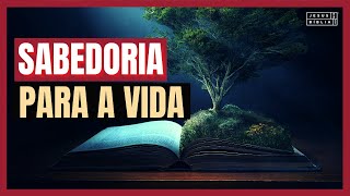 Provérbios 1 Estudo SABEDORIA PARA A VIDA Bíblia Explicada [upl. by Acissev394]