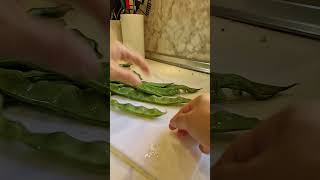 SLICING GREEN BEANS 🫘 🎃 satisfying recipe [upl. by Swerdna]