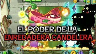 Jugando solo con la Enredadera candelera en la zona de infinito  PvZ 2 [upl. by Chap414]