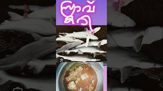 സ്രാവ് കറി sravu curry kerala style [upl. by Soble837]