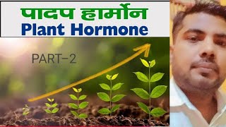 plant hormone l प्लांट हार्मोन l पादप हार्मोन क्या हैं  type of plant Hormone in hindi [upl. by Sarilda470]