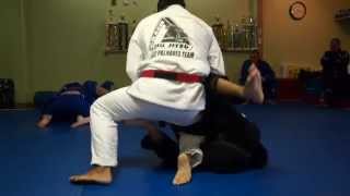 Pedro Palhares first roll with Luiz Palhares as a black belt [upl. by Roel]