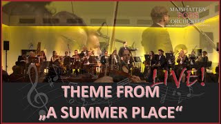 Theme from quotA Summer Placequot  Live [upl. by Ready]