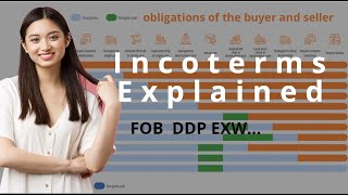 Incoterms Explained what are incoterms and How to choose incoterm FOB EXW DDP【complete guide】 [upl. by Milson]