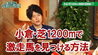 60万馬券も夢じゃない 小倉芝1200mで使える血統法則亀谷敬正 [upl. by Anikahs]