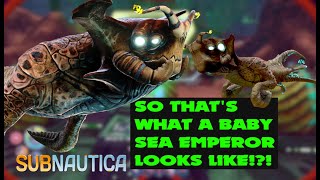 How To Hatch Sea Emperor Eggs And Save An Entire Species  Subnautica Playthrough [upl. by Kisung]