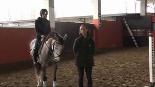 Lezioni Equitazione  Salto ostacoli tecnica equestre  Cavallo 4 anni i primi salti al galoppo [upl. by Narmis130]