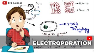 Electroporation  Gene transfer techniques  Electropermeabilization  Bio science [upl. by Ruffi272]