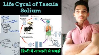 Life Cycle of Taenia solium [upl. by Eirena]