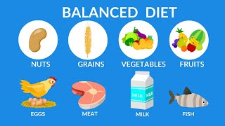 Balanced Diet  Best food for health [upl. by Kraska]