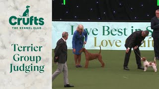 Terrier Group Judging  Crufts 2024 [upl. by Haslett]