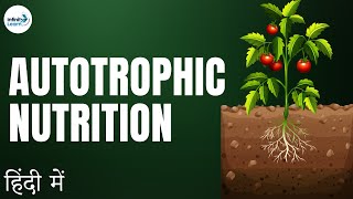 Life Processes  Lesson 02  Autotrophic Nutrition  in Hindi हिंदी में   Infinity Learn [upl. by Ardiedal]