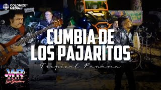 Tropical Panama  Cumbia De Los Pajaritos En Vivo [upl. by Aschim194]