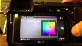 Sony Nex7 White Balance Settings Override and Custom [upl. by Iover]