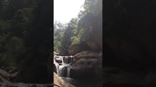 Macquarie Pass National Park Jump Rock [upl. by Mailand]