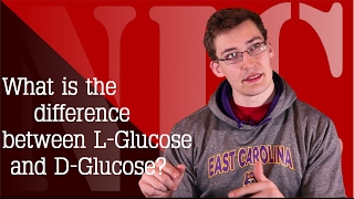 NIC 37a What is the difference between DGlucose amp LGlucose [upl. by Adnohsed]