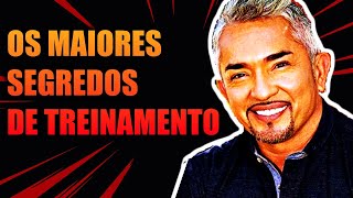 OS MAIORES SEGREDOS de Cesar Millan para adestrar um cachorro SUPER TÉCNICAS [upl. by Llyrat]