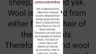 Silk and Wool are common animal fibres Class 7 ScienceFibre to fabric [upl. by Esserac561]