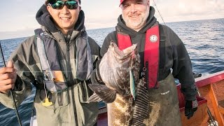 Pacific City Dory Fishing For Rockfish amp Lingcod 2 [upl. by Ahsienal860]