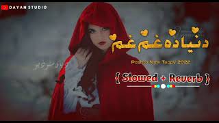 Pashto New Songs  Slowed Reverb 2022  ‎Lewanymusic696 [upl. by Allista]