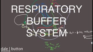 Respiratory Buffer System [upl. by Yeruoc]