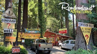 Confusion Hill  The real life Gravity Falls Roadside Attraction on the Redwood Highway [upl. by Egidio867]