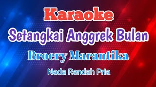 Karaoke Setangkai Anggrek Bulan  Broery Marantika Karaoke [upl. by Deni]