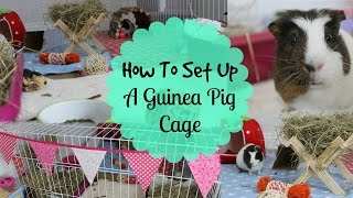 How To SET UP A GUINEA PIG CAGE  Hamster HorsesandCats [upl. by Suki]