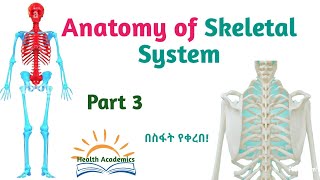 Anatomy Cells and tissues General Histology Interesting Video Lecture with Amharic Speech Part 8 [upl. by Benedicto397]