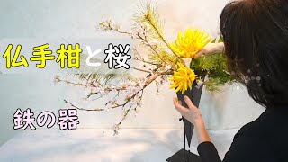 【生け花】仏手柑と桜鉄花器にもマッチする仏手柑の飾り方Buddhas hand citrusSogetsu Ikebana [upl. by Attiuqaj]