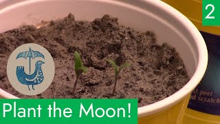 Plant the Moon with Team Rainbird EP 2 [upl. by Asus545]