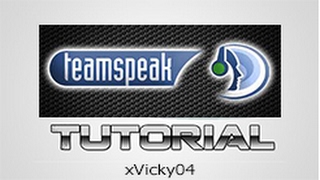 TUTORIAL PC Come scaricare usare settare e tradurre TeamSpeak 3 TS3 [upl. by Nosdivad]