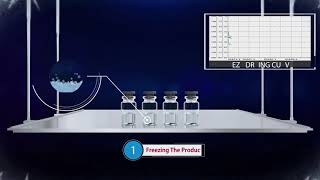 Tofflon Lyophilization [upl. by Joby]