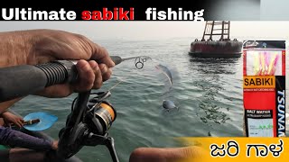 Ultimate Sabiki Fishing The Complete Guide to Catching More Fish [upl. by Assetak550]