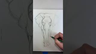 African Elephant drawing [upl. by Yanehc]