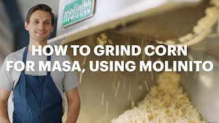 How to grind corn nixtamal into masa using Molinito  From Kernel to Masa Ep 5 [upl. by Raveaux66]