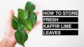 How to store fresh kaffir lime leaves │Pana Napa Kitchen [upl. by Notseh]