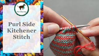 Purl Side Kitchener Stitch [upl. by Ogata]