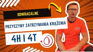 4h i 4t odwracalne przyczyny zatrzymania krążenia 🚨 4h4t [upl. by Lemmor]