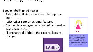 5 Kohlbergs theory of gender development [upl. by Suzette]