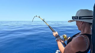 Great Barrier Reef Fishing  In the Seaking 790 Profisher [upl. by Anaoj]