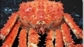 ALASKAN KING CRAB FEAST By Simply Filcantuges [upl. by Falkner219]